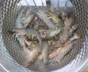 1、西兰花炒虾球,准备基围虾，或新鲜海虾。