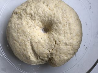 9、玉米面馒头,面团大概发酵至两倍大，手指沾少许面粉插入面团，凹坑不反弹不下陷，即发酵完成