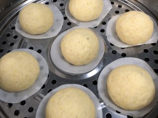 12、玉米面馒头,放入水开的蒸锅，关火醒发15-20分钟