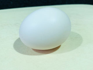 1、芝麻薄脆饼干,鸡蛋一个；