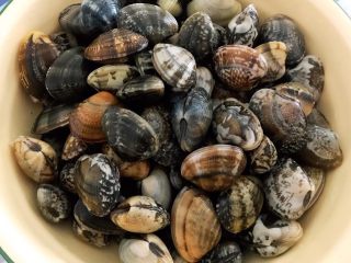 1、排骨蚬子时蔬面,鲜活的蚬子买回来洗净在清水中放入适量盐浸泡吐沙子一个小时左右即可清洗干净备用