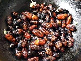 4、蒜蓉辣椒酱炒蚕蛹,放入蚕蛹大火快速翻炒
