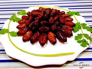 7、蒜蓉辣椒酱炒蚕蛹,炒好的蚕蛹盛入盘中摆出花朵图案再用香菜做装饰