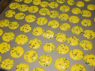 10、黑芝麻鸡蛋瓦片饼干 根本停不下来的宝宝零食,全部挤好了。