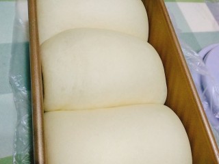 16、奶香吐司,大概一个小时，就发酵到了模具的九分满了