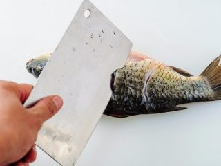 1、鲫鱼萝卜奶白汤,鲫鱼宰杀后清理干净，在鲫鱼两面各斜切几刀。