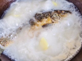 7、鲫鱼萝卜奶白汤,开大火煮开后转小火炖煮，几分钟后鱼汤就能炖成奶白色。