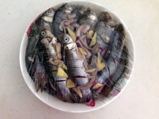 9、干炸鲫鱼,盖上保鲜膜静止入味1小时