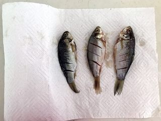 10、干炸鲫鱼,1小时后把小鲫鱼取出来，放在厨房用纸上，吸去多余的水分
