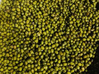 2、无可奈何之香煎绿豆饼,清水洗净。