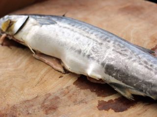 5、翡翠鲅鱼酸汤馄饨,把鲅鱼取五脏、洗净备用