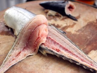 7、翡翠鲅鱼酸汤馄饨,然后从鲅鱼的尾部开始用刀往上片鱼、如图