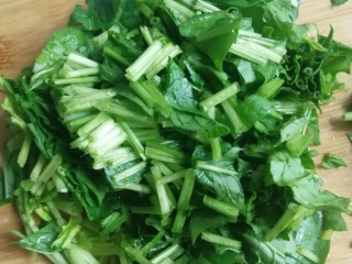 2、手擀菠菜面片,切小段，可不切