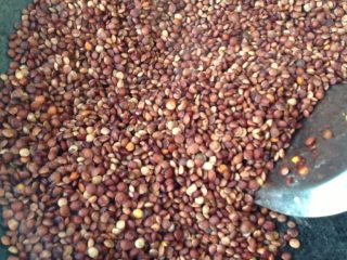 4、兰州扁豆面,炒至扁豆颜色，发黑红，倒入三盆水，盖上盖子，留些缝隙，开始煮