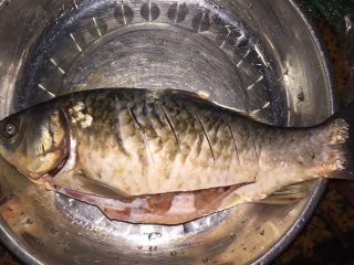 4、鲫鱼瘦肉,盘子中放点水，水到鱼身的一半就好了（开水），再加点盐到开水里，放姜，红枣（破开），枸杞