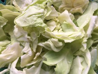 2、手撕包菜,包菜手撕成小块