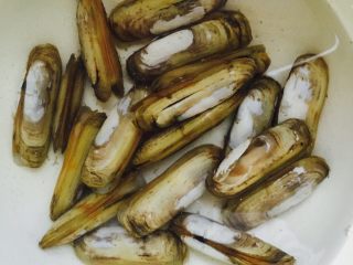 1、娃娃菜蛏子汤,先将蛏子用盐水泡一小时