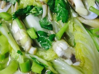 17、娃娃菜蛏子汤,撒少许葱碎香菜关火