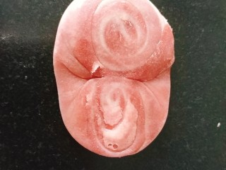 28、桃花酥,再用手掌按压平；