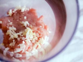 2、自制脆皮肠（宝宝版）,将肉馅或者块肉和葱姜末放入料理机打成肉糜也可以用菜刀剁碎碎