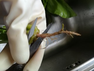 1、花生碎拌菠菜,红色的根,在我老家都没去掉,这里大家的吃法是去除,我也只好入乡随俗啦.