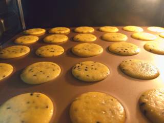 11、宝宝健康小食——黑芝麻薄脆饼干,烤盘放入预热好的烤箱，中层，上下火160度，烤制15分钟；