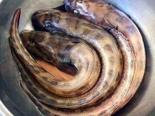 1、鲶鱼炖豆腐,新鲜的鲶鱼摘除鳃和内脏洗净沥干水份备用