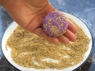 12、紫薯芝麻饼,然后在裹上一层芝麻，压成饼状，紫薯芝麻饼就出来了，当然现在还是生的，要煎过之后才能吃