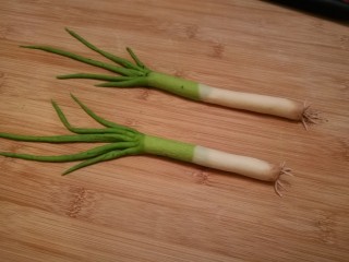 13、造型馒头 ——大葱卷,在大葱的根部刷上一点可可粉，刚出土的大葱完成了。