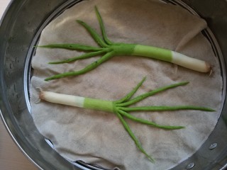 14、造型馒头 ——大葱卷,放到蒸笼醒发，看到大葱变粗，用手按压表面后慢慢回弹就可以开火蒸制了。中大火蒸15分钟，关火后过五分钟揭盖。