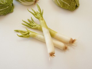 15、造型馒头 ——大葱卷,对付那些不爱吃主食的熊孩子，就给他一棵山东大葱。