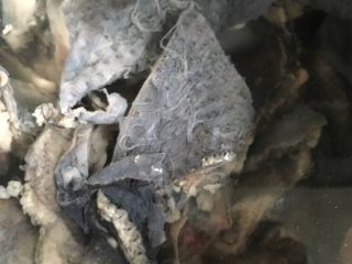 1、山药乌鸡煲,先将乌鸡切块洗净