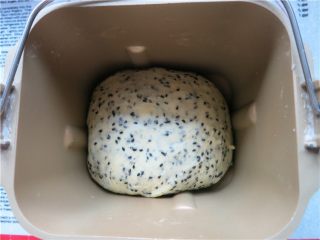 6、嘎嘣脆哒黑芝麻磨牙棒,待程序结束,发酵完成,倒出面团,揉匀排气。