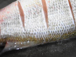 4、鲈鱼娇汤,锅内，油加热，鱼煎两面微黄。