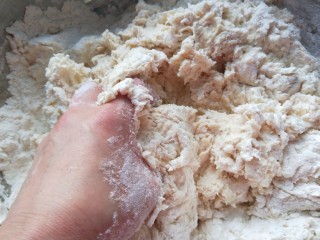 4、五香葱油肉饼,加入适量水合面。