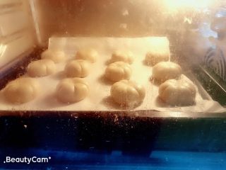 19、杨扬佳全麦南瓜酥,入烤箱，上下火170°烤制35分钟。