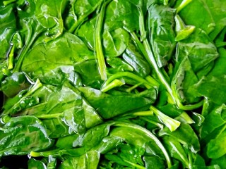 1、凉拌菠菜,菠菜去根洗净，开水焯一分钟左右。