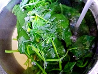 2、凉拌菠菜,捞出过凉水，攥干备用