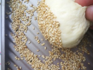 8、汉堡包,再去白芝麻里面滚一下，这样烤熟的芝麻不容易掉