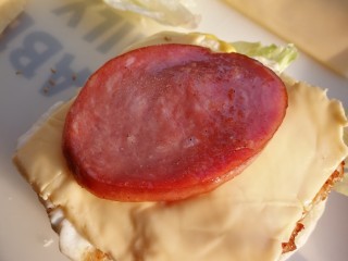 14、汉堡包,蔬菜一片，荷包蛋一个，芝士一片，火腿依次摆上去就可以了