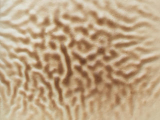 15、虎皮蛋糕卷,放入预热好的烤箱，200度烘烤8分钟