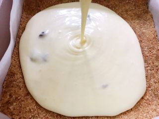 11、芝士控最爱的蔓越莓芝士条,取出饼干底把芝士糊倒入