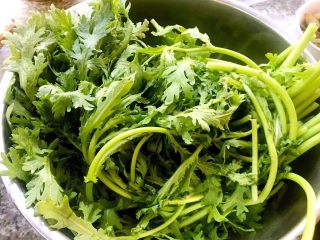 1、粉蒸茼蒿,茼蒿摘除干净洗净沥干水分备用