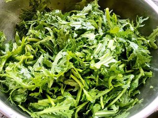 2、粉蒸茼蒿,茼蒿切成小段放入油拌匀