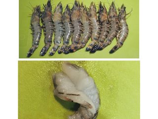 1、清炒蚕豆香菇虾, 将虾头和虾壳剥去,从虾背挑去泥肠,洗净、拭干,在虾背上割一刀,割深一点,但不要割断,炒熟后形状会卷曲漂亮。放入碗中加入少许淀粉和料酒抓拌均匀腌制备用。