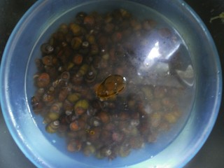 3、香辣螺蛳,养了一天后的螺蛳,换水,然后在往盆子里倒入一丢丢香油。让它在盆子里吐沙,最好让它吐两天,这样吐的会比较干净一点。