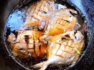 7、干烧鲳鱼,添加清水放入鲳鱼炖起来