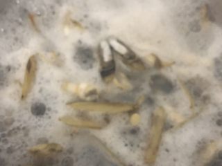 4、爆炒圣子,水再次滚起捞出圣子