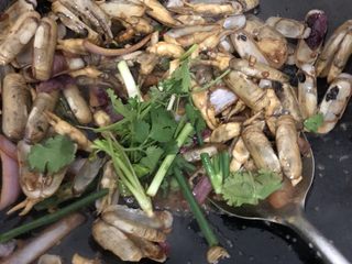 16、爆炒圣子,加葱芫茜翻炒一下