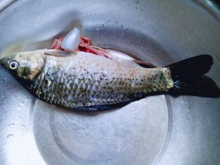 1、#咸味#秋季补钙佳品#鲫鱼豆腐汤,首先将鱼鳞清理干净。